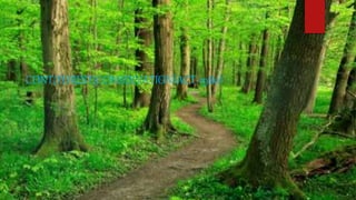 CONT(FOREST(CONSERVATION)ACT-1980)
 