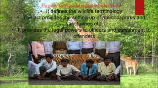 The major activities and provisions in the Act are:
• It defines the wildlife terminology
• The act provides the setting up of national parks and
sanctuaries etc.
• It provides the legal powers to officers and punishment to
offenders
 