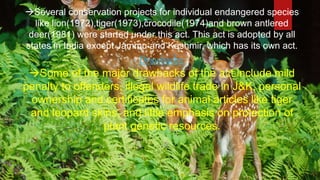 Several conservation projects for individual endangered species
like lion(1972),tiger(1973),crocodile(1974)and brown antlered
deer(1981) were started under this act. This act is adopted by all
states in India except Jammu and Kashmir, which has its own act.
Drawbacks:
Some of the major drawbacks of the act include mild
penalty to offenders, illegal wildlife trade in J&K, personal
ownership and certificates for animal articles like tiger
and leopard skins, and little emphasis on protection of
plant genetic resources.
 