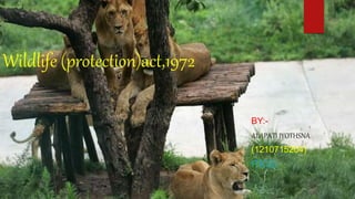 Wildlife (protection)act,1972
BY:-
ALAPATI JYOTHSNA
(1210715204)
IT(C2)
 