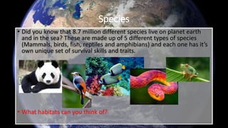 Species
• Did you know that 8.7 million different species live on planet earth
and in the sea? These are made up of 5 different types of species
(Mammals, birds, fish, reptiles and amphibians) and each one has it’s
own unique set of survival skills and traits.
• What habitats can you think of?
 