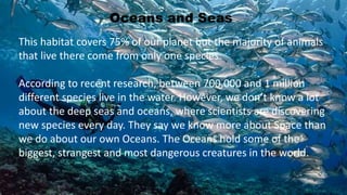 Oceans and Seas
This habitat covers 75% of our planet but the majority of animals
that live there come from only one species.
According to recent research, between 700,000 and 1 million
different species live in the water. However, we don’t know a lot
about the deep seas and oceans, where scientists are discovering
new species every day. They say we know more about Space than
we do about our own Oceans. The Oceans hold some of the
biggest, strangest and most dangerous creatures in the world.
 