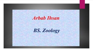 Arbab Ihsan
BS. Zoology
 