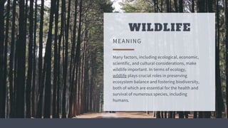 WILDLIFE
MEANING
Many factors, including ecological, economic,
scientific, and cultural considerations, make
wildlife important. In terms of ecology,
wildlife plays crucial roles in preserving
ecosystem balance and fostering biodiversity,
both of which are essential for the health and
survival of numerous species, including
humans.
 