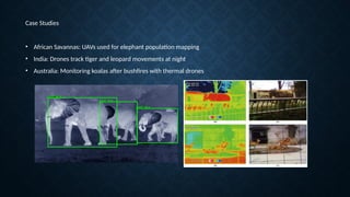 Wildlife Monitoring using Thermal Imaging from UAVs/Drones | PPTX