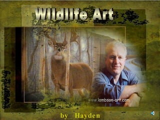 Wildlife Art by  Hayden Lambson 