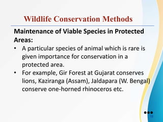 wildlife-Conservatiom.pptx