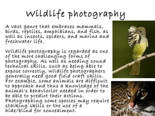 Wildlife photography
A vast genre that embraces mammals,
birds, reptiles, amphibians, and fish, as
well as insects, spiders, and marine and
freshwater life.
Wildlife photography is regarded as one
of the more challenging forms of
photography. As well as needing sound
technical skills, such as being able to
expose correctly, wildlife photographers
generally need good field craft skills.
For example, some animals are difficult
to approach and thus a knowledge of the
animal's behaviorist needed in order to
be able to predict their actions.
Photographing some species may require
stalking skills or the use of a
hide/blind for concealment.
 