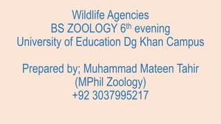 Wildlife Agencies
BS ZOOLOGY 6th evening
University of Education Dg Khan Campus
Prepared by; Muhammad Mateen Tahir
(MPhil Zoology)
+92 3037995217
 