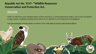 Republic Act No. 9147- “Wildlife Resources
Conservation and Protection Act.
WILDLIFE
•refers to wild forms and varieties/strains of flora and fauna, in all developmental stages, such as but not limited
to eggs, pupae, seedlings including those which are in captivity or are being bred or propagated;
•non domesticated animals which can thrive in the wild without human intervention/efforts.
 