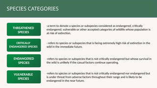 SPECIES CATEGORIES
-a term to denote a species or subspecies considered as endangered, critically
endangered, vulnerable or other accepted categories of wildlife whose population is
at risk of extinction.
THREATHENED
SPECIES
VULNERABLE
SPECIES
ENDANGERED
SPECIES
CRITICALLY
ENDANGERED SPECIES
-refers to species or subspecies that is not critically endangered nor endangered but
is under threat from adverse factors throughout their range and is likely to be
endangered in the near future.
-refers to species or subspecies that is not critically endangered but whose survival in
the wild is unlikely if the casual factors continue operating.
- refers to species or subspecies that is facing extremely high risk of extinction in the
wild in the immediate future.
 