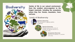 Variety of life in our natural environment-
from the smallest micro-organism to the
largest mammals, including the ecosystems
where thay live- forests, mountains, rivers
and seas.
Genetic Diversity
The variation in genes within
a species.
Species Diversity
Usually measures in terms of
number od species found in a
particular area.
Ecosystem Diversity
Diversity of habitat in a certain
unit area.
Levels of Biodiversity
 