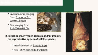 1. Killing and destroying wildlife species
• Imprisonment ranging
from 6 months & 1
day to 12 years
• Fine ranging from
P10,000 to P1.0M
2. Inflicting injury which cripples and/or impairs
the reproductive system of wildlife species.
• Imprisonment of 1 mo to 6 yrs
• Fine of P5,000.00 to P500,000
Prohibited Acts and Penal Provision
 