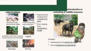 3. Effecting any of the following acts in
critical habitats.
-dumping of waste
detrimental to wildlife.
-squatting or otherwise occupying
a certain portion of critical habitat
-mineral exploration
and/or extraction
Burning
Quarrying
Logging
• Imprisonment
ranging from
1 month to 8
years
• Fine ranging
from
P5,000.00 to
P5.0M
4. Introduction, reintroduction or
restocking of wildlife resources
Penalties:
• Imprisonment of 1 month to 8 years
• Fine of P5,000.00 to P5,000,000.00
Prohibited Acts and Penal Provision
 