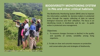 The Biodiversity Monitoring System (BMS) aims to improve
the information available for decision-makers in protected
areas through the regular collecting of data on natural
biological resources and their utilization. The focus is on
identifying trends in biodiversity and its use - to guide
action in protected area management.
Objectives:
1. To measure changes (increase or decline) in the quality
and quantity of variety, variability among living
organisms.
2. To take on clear and concrete measures on protection
and conservation plan and strategies of biodiversity.
BIODIVERSITY MONITORING SYSTEM
in PAs and other critical habitats
 