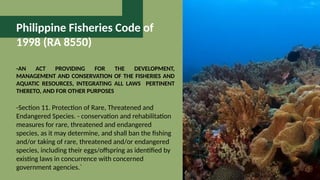 Philippine Fisheries Code of
1998 (RA 8550)
-AN ACT PROVIDING FOR THE DEVELOPMENT,
MANAGEMENT AND CONSERVATION OF THE FISHERIES AND
AQUATIC RESOURCES, INTEGRATING ALL LAWS PERTINENT
THERETO, AND FOR OTHER PURPOSES
-Section 11. Protection of Rare, Threatened and
Endangered Species. - conservation and rehabilitation
measures for rare, threatened and endangered
species, as it may determine, and shall ban the fishing
and/or taking of rare, threatened and/or endangered
species, including their eggs/offspring as identified by
existing laws in concurrence with concerned
government agencies.`
 