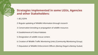 Strategies implemented in some LGUs, Agencies
and other Stakeholders:
1. IEC/CEPA
2. Regular updating of Wildlife Information through research
3. Conservation breeding or propagation of wildlife resources
4. Establishment of Critical Habitats
5. Designation of wildlife rescue centers
6. Creation of Wildlife Traffic Monitoring Units (Community Monitoring Group)
7. Deputation of Wildlife Enforcement Officers (Bantay Dagat & Bantay Gubat)
 