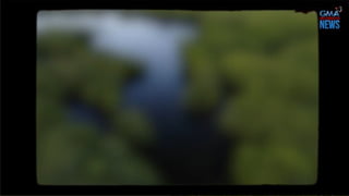 Thank
you!
Continue to video presentation…….
 