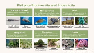 Philipine Biodiversity and Endemicity
25 known marine mammals in the
Philippines.
Marine Mammals
5 of the 7 known Marine Turtles in the
World are found in the Philippines
Marine Turtles
8th
in the world in flora endemicity. Of
its 9959 species, 4728 are endemic.
Flora
500 of the 800+ known coral species
in the world are found in the
Philippines.
Corals
There are 54 mangrove species in the
world and 40 species are found in the
Philippines.
Mangroves
There are 16 species of seagrass
identified in the Philippines
Seagrasses
Irrawaddy Dolphins
(Orcaella brevirostris)
Dugong
(Dugong dugon)
Mindoro Pine Tree
(Pinus merkusii)
Jade Vine
(Strongylodon macrobotrys)
Enhalus acoroides Halophila ovalis Bakawang Lalake
(Rhizophora apiculata)
Pagatpat
(Sonneratia acida)
Table Coral
(Acropora clathrata)
Pink Soft Coral
(Scleronephthya spp.)
Green Sea Turtle
(Chelonia mydas)
Leather-backed Sea Turtle
(Dermochelys coriacea)
Source: Compendium of the Philippine Environment Statistics (CPES) as of 2017
 