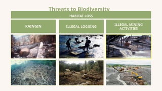 Threats to Biodiversity
KAINGIN ILLEGAL LOGGING
ILLEGAL MINING
ACTIVITIES
HABITAT LOSS
 