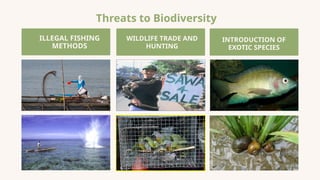 Threats to Biodiversity
ILLEGAL FISHING
METHODS
WILDLIFE TRADE AND
HUNTING
INTRODUCTION OF
EXOTIC SPECIES
Picture soure: Internet
 