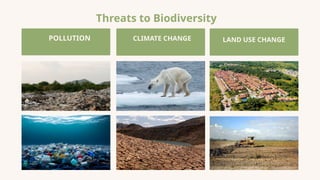 Threats to Biodiversity
POLLUTION CLIMATE CHANGE LAND USE CHANGE
 