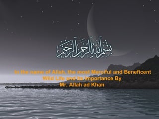 Title
NameIn the name of Allah, the most Merciful and Beneficent
Wild Life and Its Importance By
Mr. Allah ad Khan
 