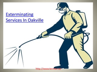 Exterminating 
Services In Oakville 
http://www.termax.ca/ 
 