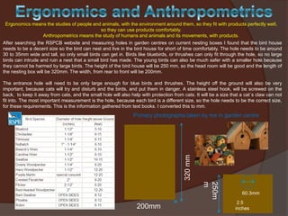 Ergonomics means the studies of people and animals, with the environment around them, so they fit with products perfectly well,
so they can use products comfortably.
Anthropometrics means the study of humans and animals and its movements, with products.
After searching the RSPCB website and measuring holes in garden centres on current nesting boxes I found that the bird house
needs to be a decent size so the bird can nest and live in the bird house for short of time comfortably. The hole needs to be around
30 to 35mm wide and tall, so only small birds can get in. Birds like bluebirds, or thrushes can only fit through the hole, so no large
birds can intrude and ruin a nest that a small bird has made. The young birds can also be much safer with a smaller hole because
they cannot be harmed by large birds. The height of the bird house will be 250 mm, so the head room will be good and the length of
the nesting box will be 320mm. The width, from rear to front will be 200mm.

The entrance hole will need to be only large enough for blue birds and thrushes. The height off the ground will also be very
important, because cats will try and disturb and the birds, and put them in danger. A stainless steel hook, will be screwed on the
back, to keep it away from cats, and the small hole will also help with protection from cats. It will be a size that a cat`s claw can not
fit into. The most important measurement is the hole, because each bird is a different size, so the hole needs to be the correct size,
for these requirements. This is the information gathered from text books. I converted this to mm.

320 mm

Primary photographs taken by me in garden centre

250m
m

200mm

60.3mm
2.5
inches

 