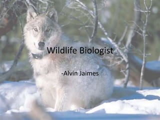 Wildlife Biologist 
-Alvin Jaimes 
 