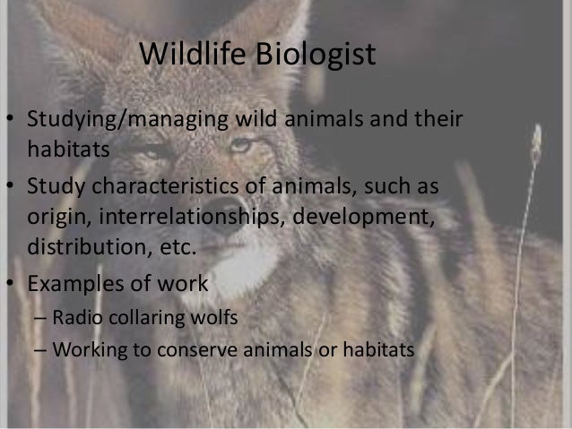 wildlife biologist college