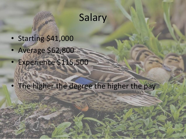 wildlife biologist college