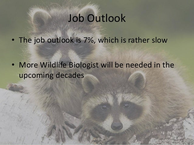 wildlife biologist college