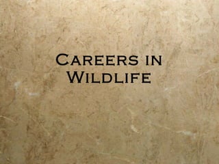 Careers in Wildlife 