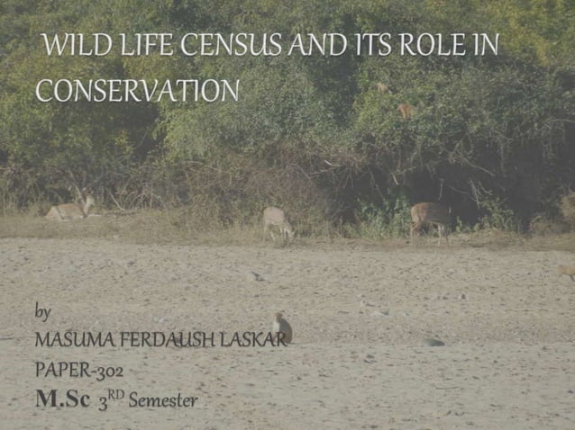 Census Life Wild life census and its role in conservation | PPTX | Biological ...