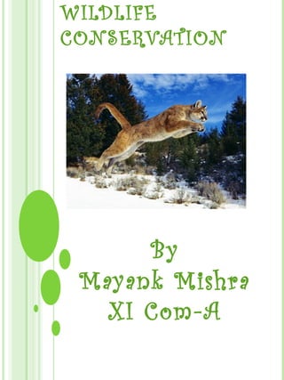 WILDLIFE
CONSERVATION
By
Mayank Mishra
XI Com-A
 