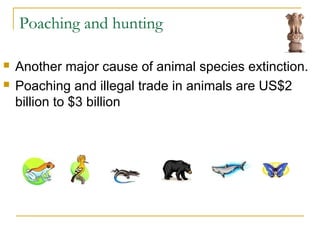 Poaching and hunting
 Another major cause of animal species extinction.
 Poaching and illegal trade in animals are US$2
billion to $3 billion
 