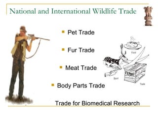 National and International Wildlife Trade
 Pet Trade
 Fur Trade
 Meat Trade
 Body Parts Trade
 T Trade for Biomedical Research
 