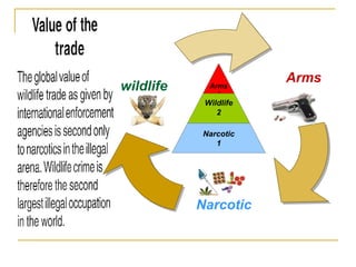 Arms
3
Wildlife
2
Narcotic
1
Arms
Narcotic
wildlife
 