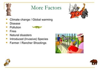 More Factors
 Climate change / Global warming
 Disease
 Pollution
 Fires
 Natural disasters
 Introduced (Invasive) Species
 Farmer / Rancher Shootings
 
