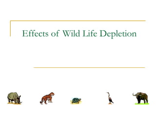 Effects of Wild Life Depletion
 