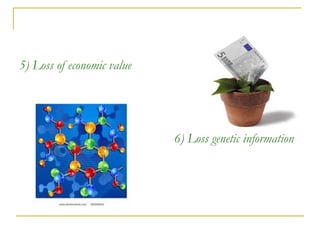 5) Loss of economic value
6) Loss genetic information
 