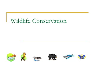 Wildlife Conservation
 
