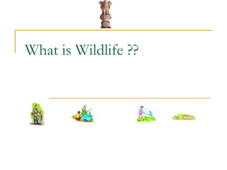What is Wildlife ??
 