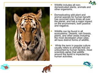  Wildlife includes all non-
domesticated plants, animals and
other organisms.
 Domesticating wild plant and
animal species for human benefit
has occurred many times all over
the planet, and has a major impact
on the environment, both positive
and negative.
 Wildlife can be found in all
ecosystems. Deserts, rain forests,
plains, and other areas including
the most developed urban sites,
all have distinct forms of wildlife.
 While the term in popular culture
usually refers to animals that are
untouched by human factors, most
scientists agree that wildlife
around the world is impacted by
human activities.
 