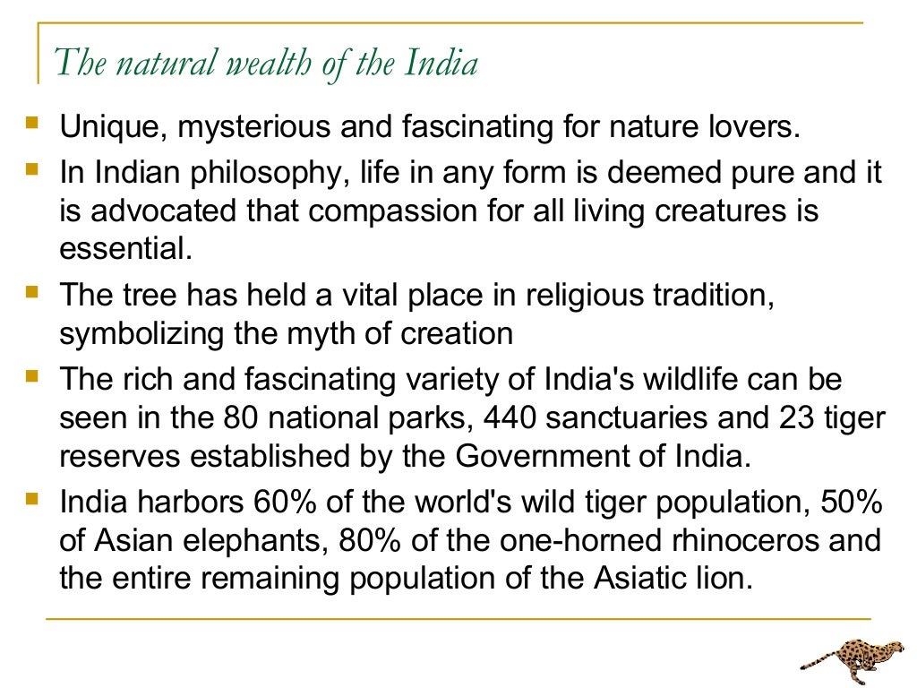 Essay on conservation of wildlife