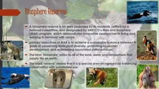 Presentation on Wildlife Conservation | PPTX