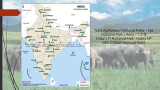 Presentation on Wildlife Conservation