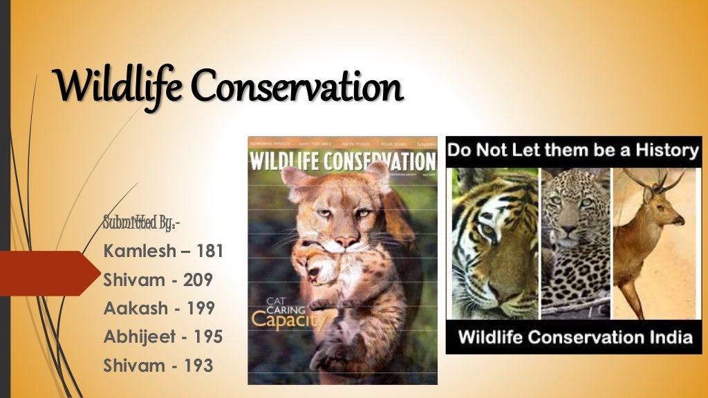 Presentation on Wildlife Conservation
