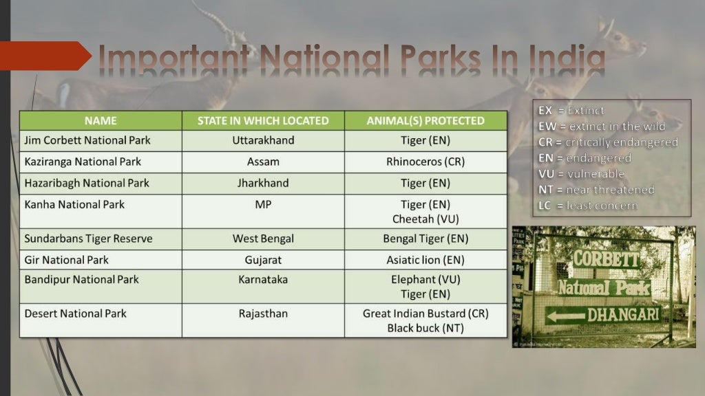 Presentation on Wildlife Conservation